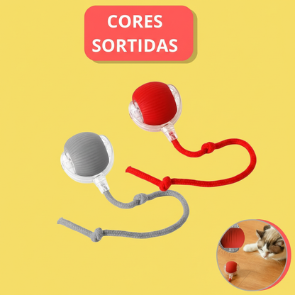 Bola Inteligente para Pets – Brinquedo Interativo Automático Recarregável (Cores Sortidas)